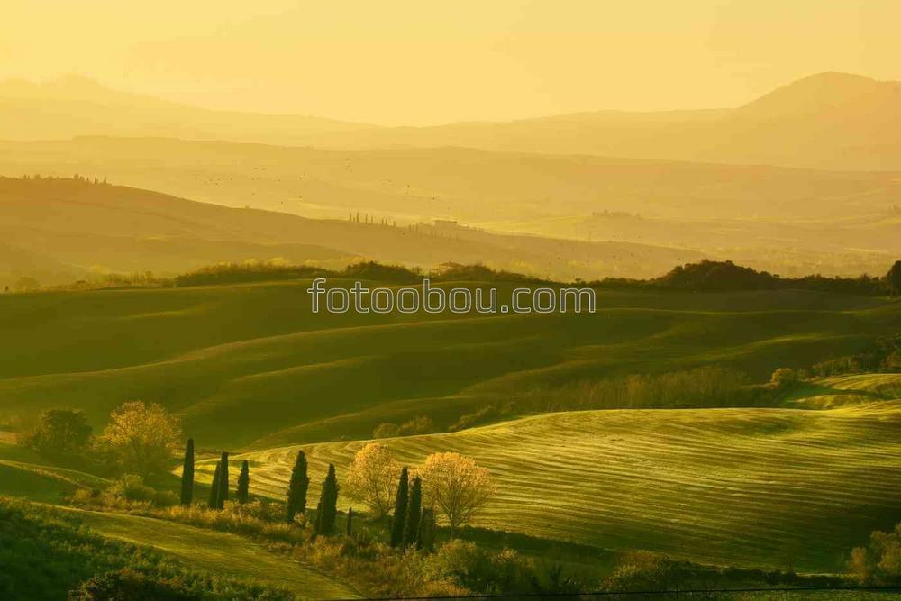 Волнистые поля на рассвете в Тоскане