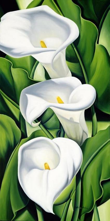 lilies-catherine-abel