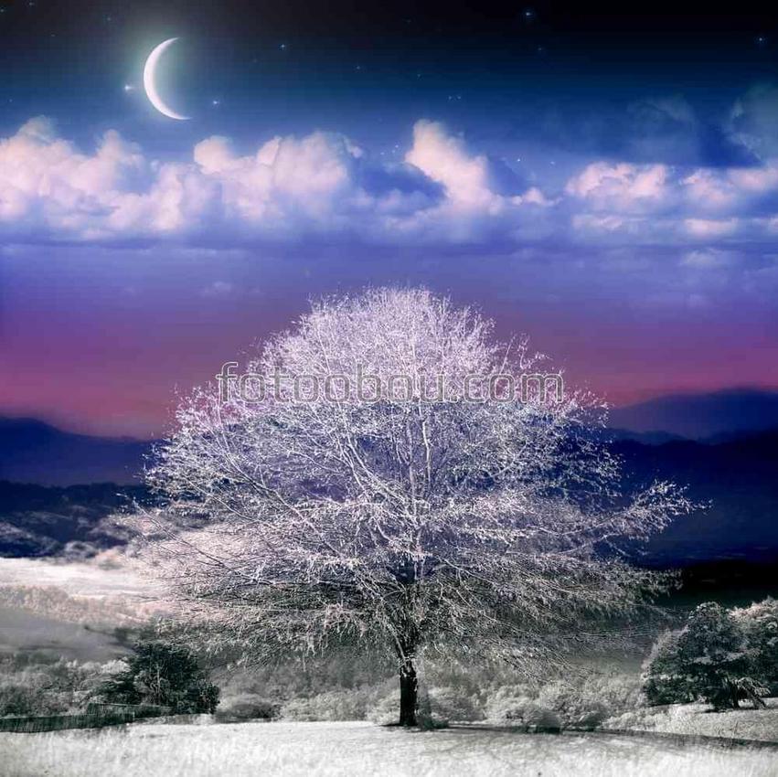 Зимний пейзаж в ясную ночь