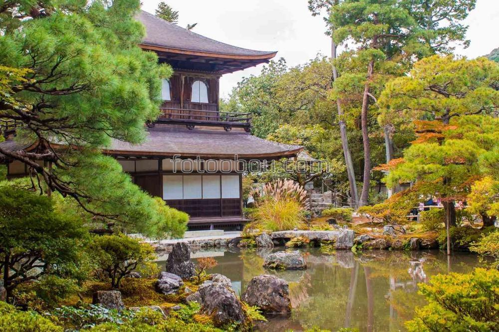 Японский домик у пруда