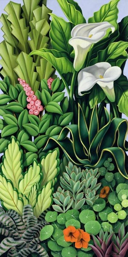 foliage-catherine-abel
