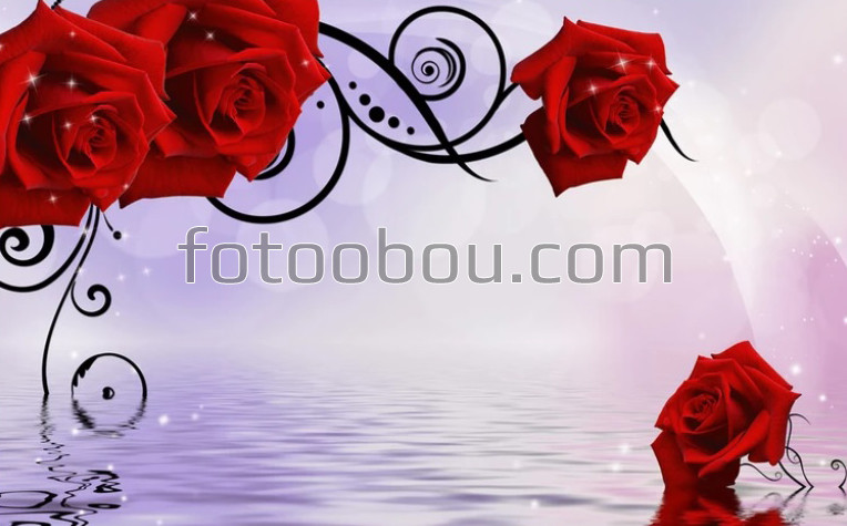 Красные розы над водой