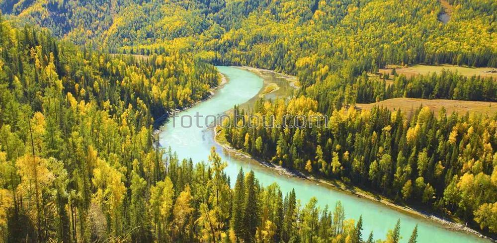 Осенний лес и река