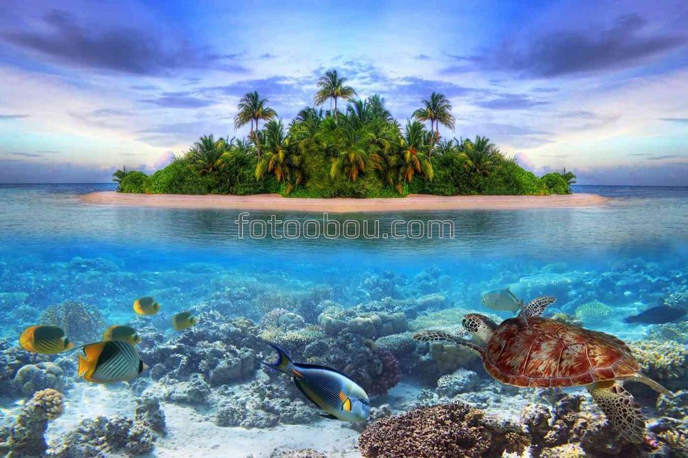 Подводный мир тропического острова