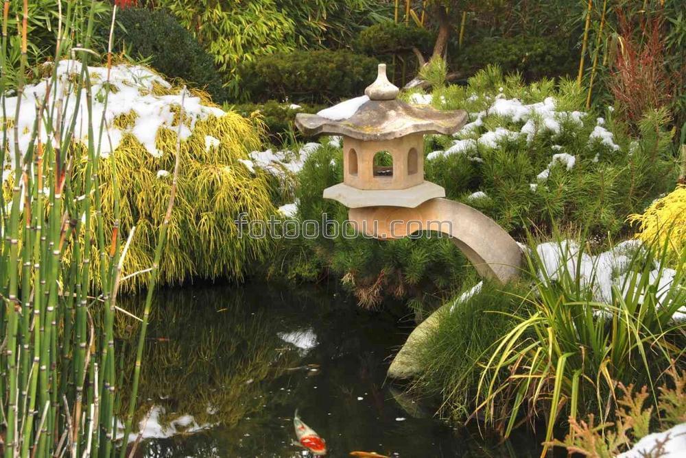 Японский сад и маленькое озеро