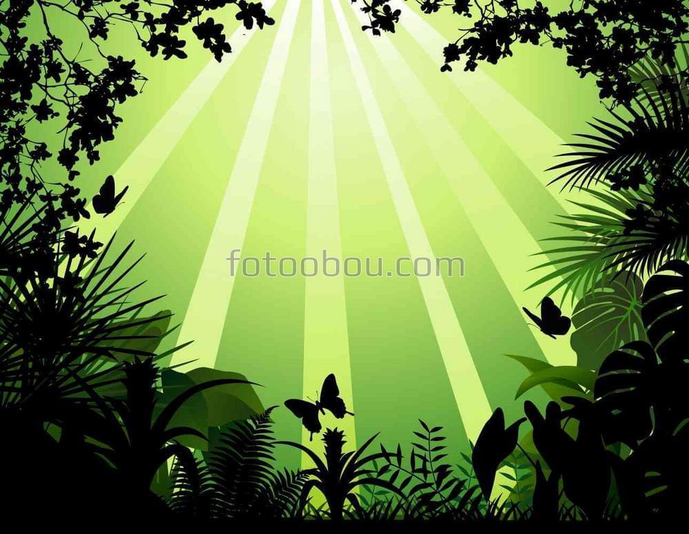 Тропический лес и солнечные блики