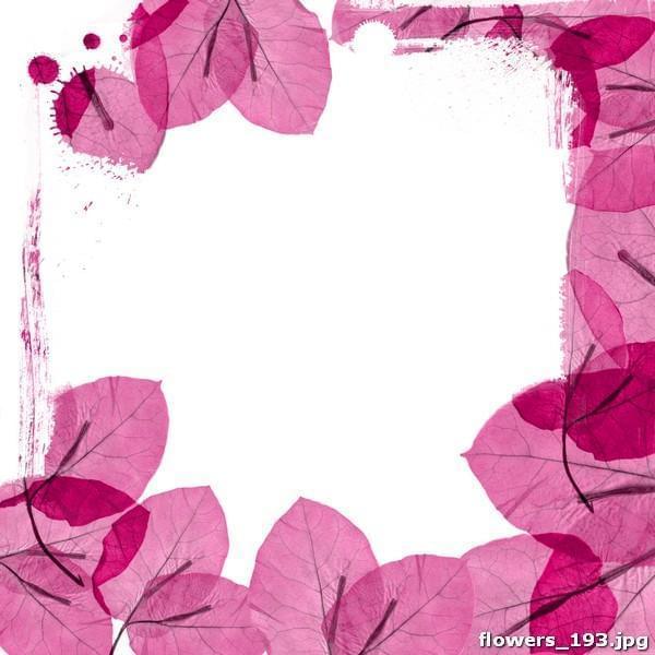Рамка из розовых листочков