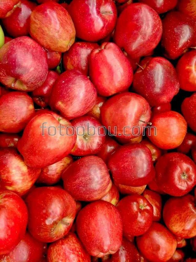 Ярко-красные яблоки