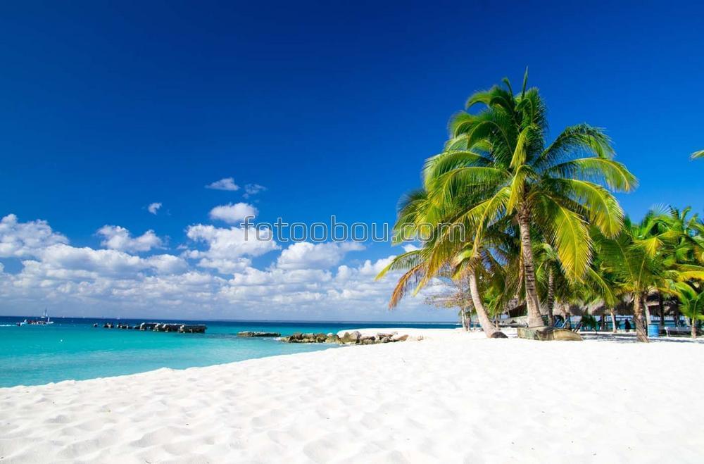 Море пальмы и белый песок