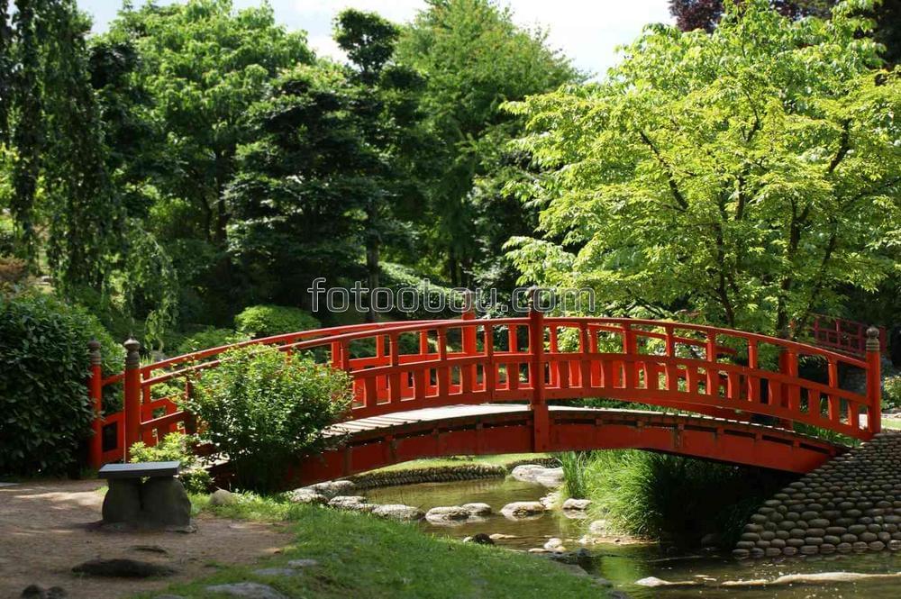 Красный мост в японском саду