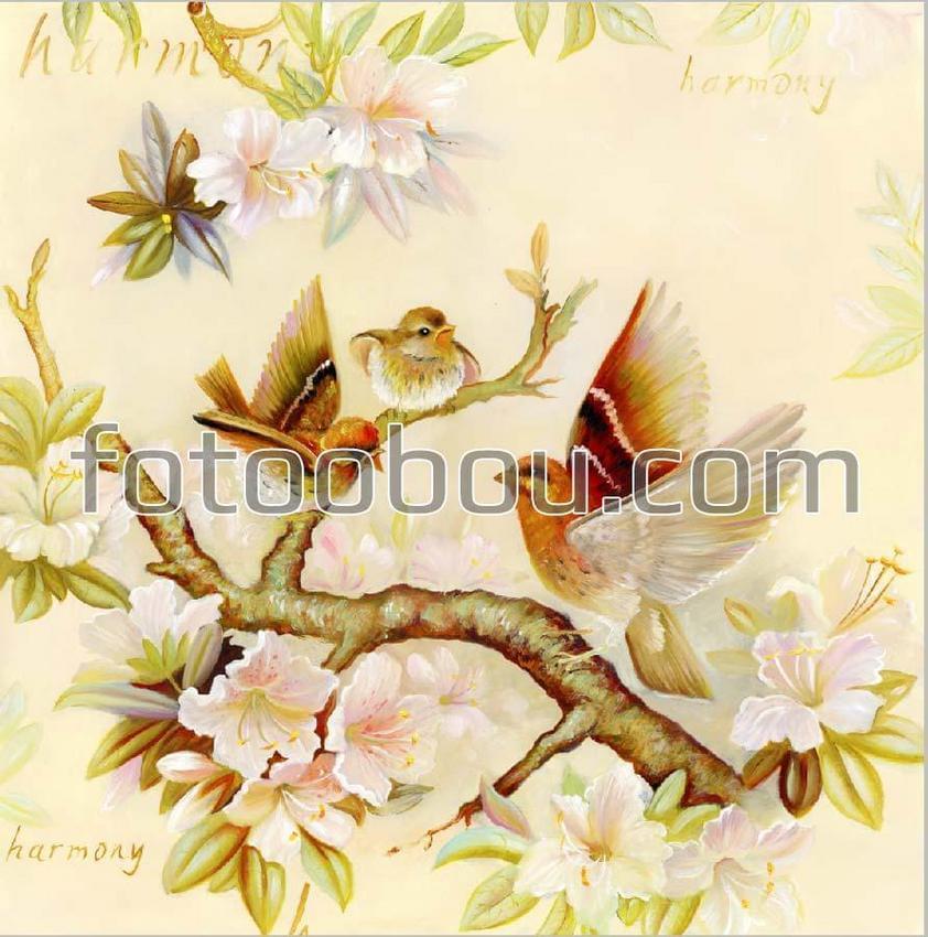 Цветы и птицы