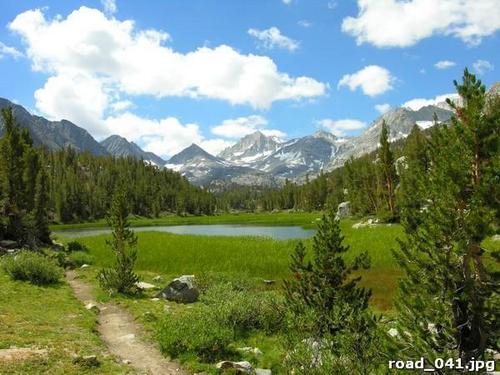 Озеро, жизни, тропинка, трава, деревья, небо, облака