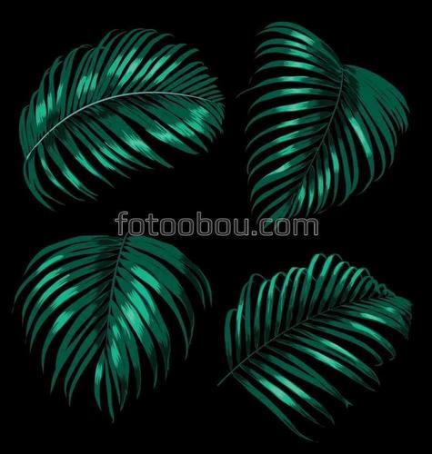 природа, трава, папоротник, листья, абстракция