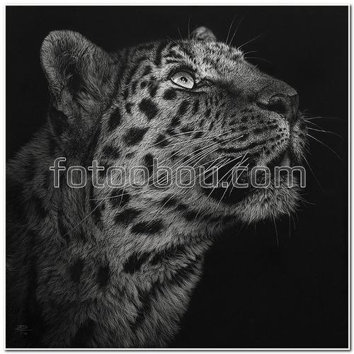 животные, кошки, леопард, нарисованный, черно-белые