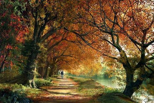 озеро, парк, аллея, дорога, осень, деревья