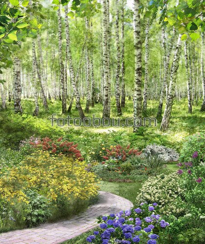 березы, лес, тропинка, парк, цветы, солнечные лучи