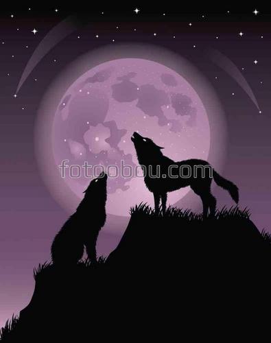 волки, ночь, луна, природа