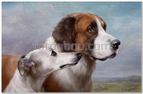 животные, собаки, гончая, нарисованные