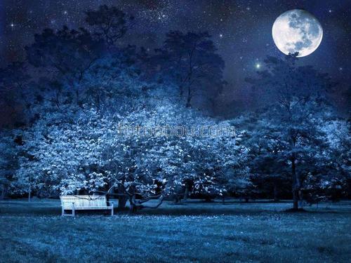 ночь, сад, парк, луна, деревья, скамья