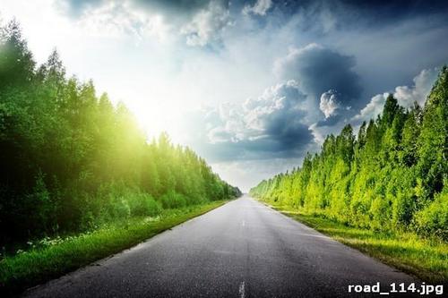 дорога, деревья, лес, закат