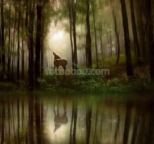 лес, озеро, фентези, сказка, природа