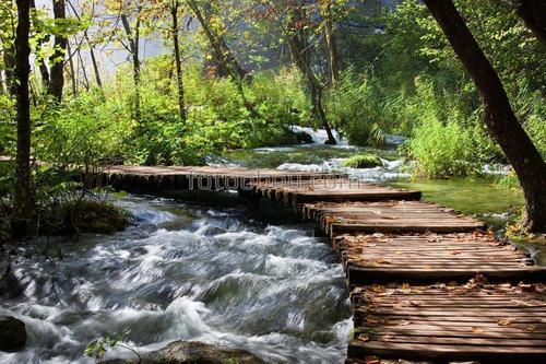 лес, река, дорога, тропа, сказка, природа