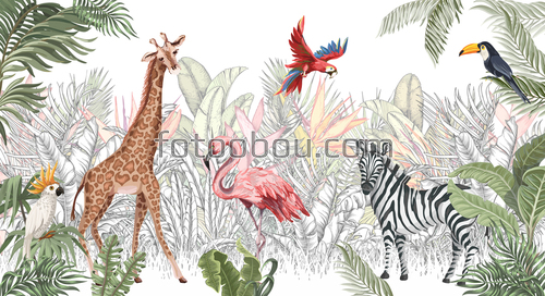 Иллюстрация, джунгли, детские, для детей, зебра, фламинго, попугай,  жираф