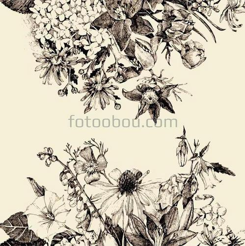 цветы, черные, белые