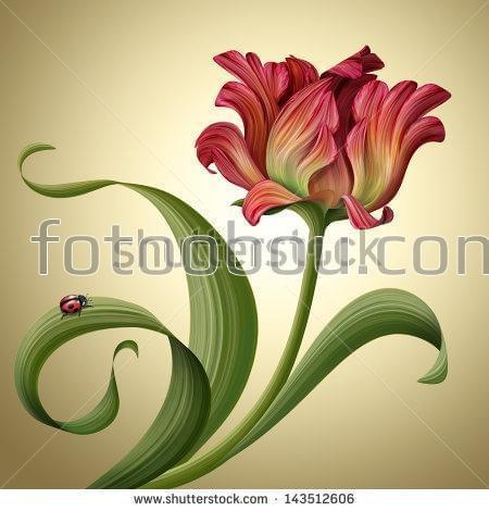 цветок, тюльпан, божья коровка,лист