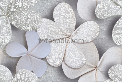 серебряные, ромашки, светлые, цветы