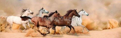 животные, кони, лошади, природа, песок, пустыня
