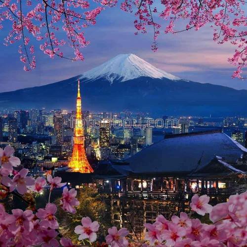 япония, путешествие, город, гора, природа, сакура