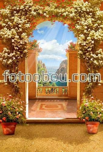 арки, цветы, терраса, природа