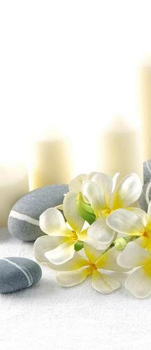 камни, круглые, цветы, белые, желтые