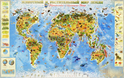 карта, для детей, животный, растительный мир, глобус