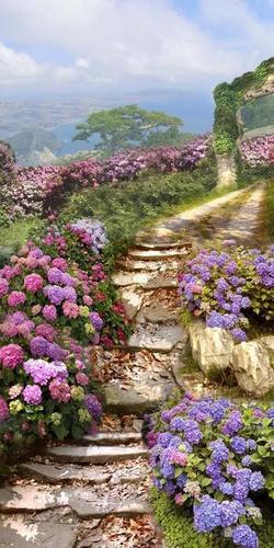 тропа, дорога, природа, цветы, небо