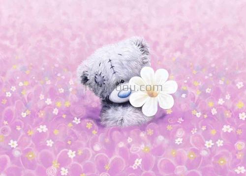 мишка,тедди ,фиолетовые цветы ,медведь 