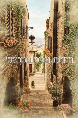 лестница, ступени, старый город, улица, цветы