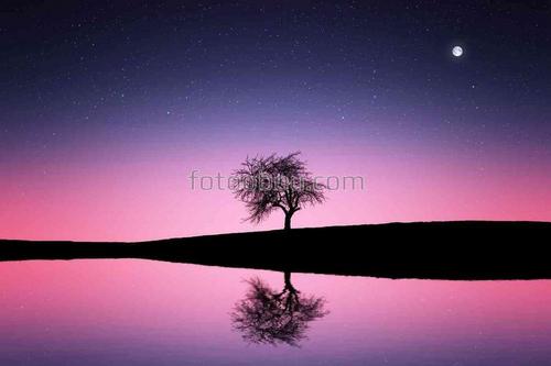 природа, ночь, озеро, дерево, звезды, луна