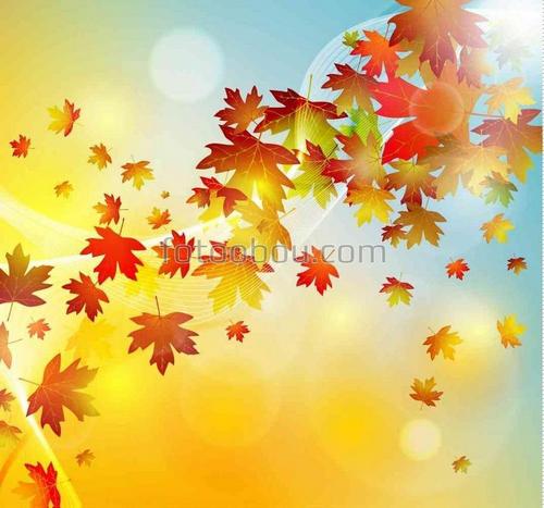 листья, клен, листопад, осень, природа