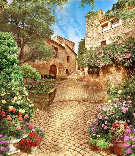 улица,старый город, цветы, мостовая