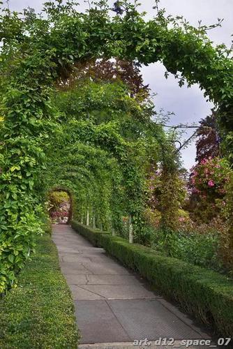 Зеленая, аркада, арка, трава