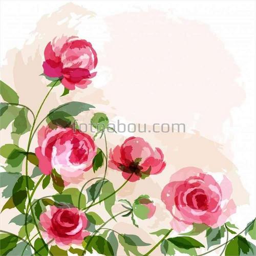 розы, розовый, букет, зеленый, нарисовано