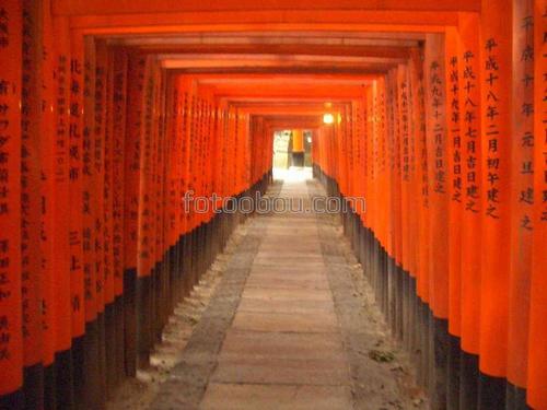 дорога, япония, храм, Фушими инари, арки