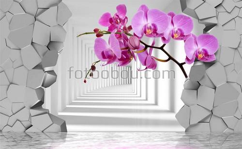 коридор, серый, орхидея, камни, стена, вода