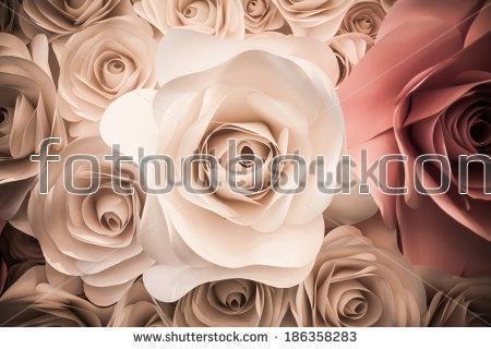 розы, цветы, нежность, букет, на стену