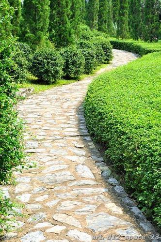 Зеленый, кустарник, тропинка, камень, трава