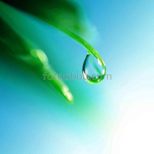 природа, капля, вода, трава