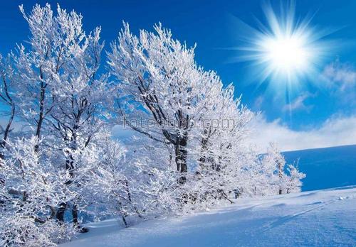 природа, солнце, зима, лес, снег