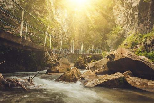 вазы, цветы, деревья, ступени, лес, сад, лучи, ручей, мостик, розы, парк, речка, пейзаж